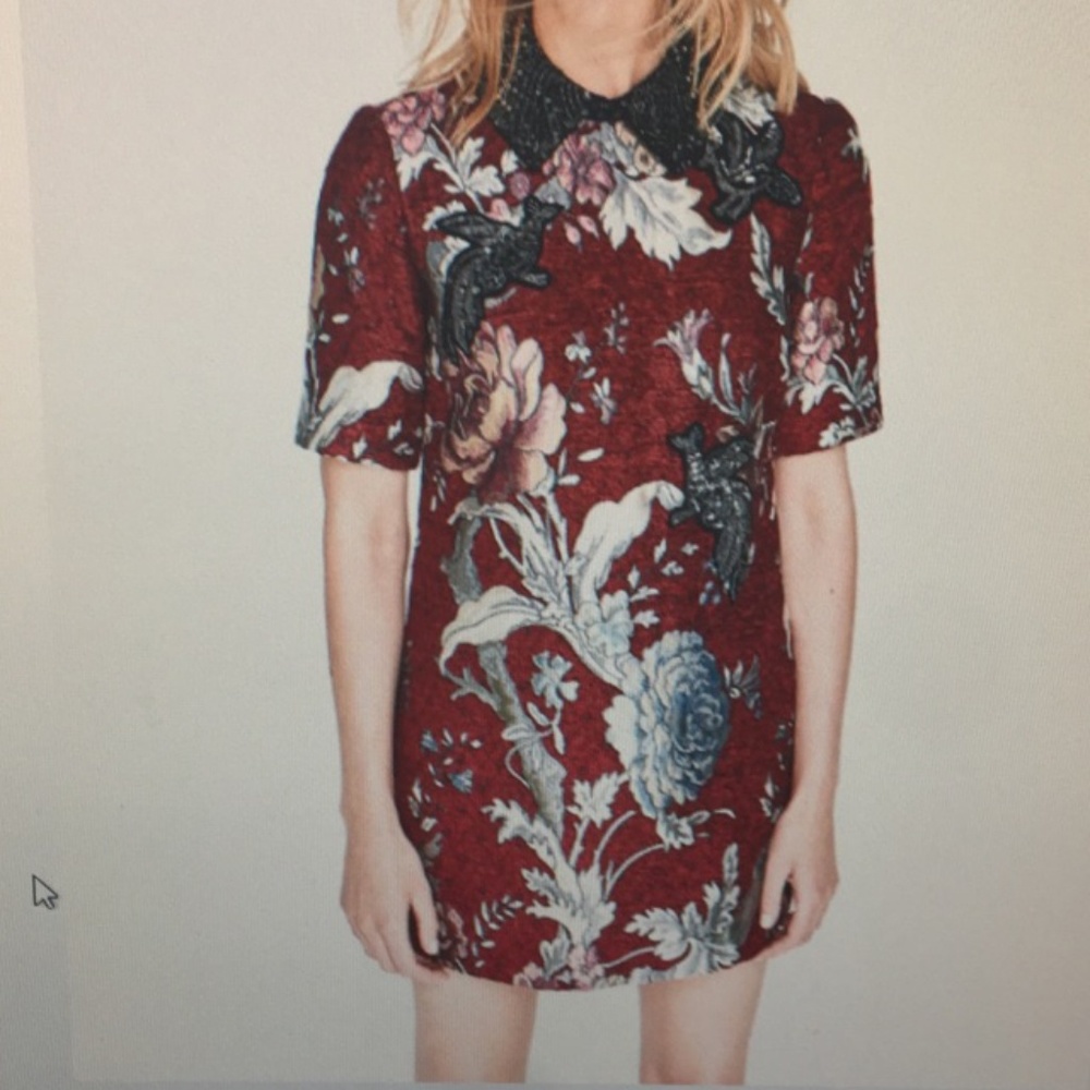Zara Sequin Birds Dress